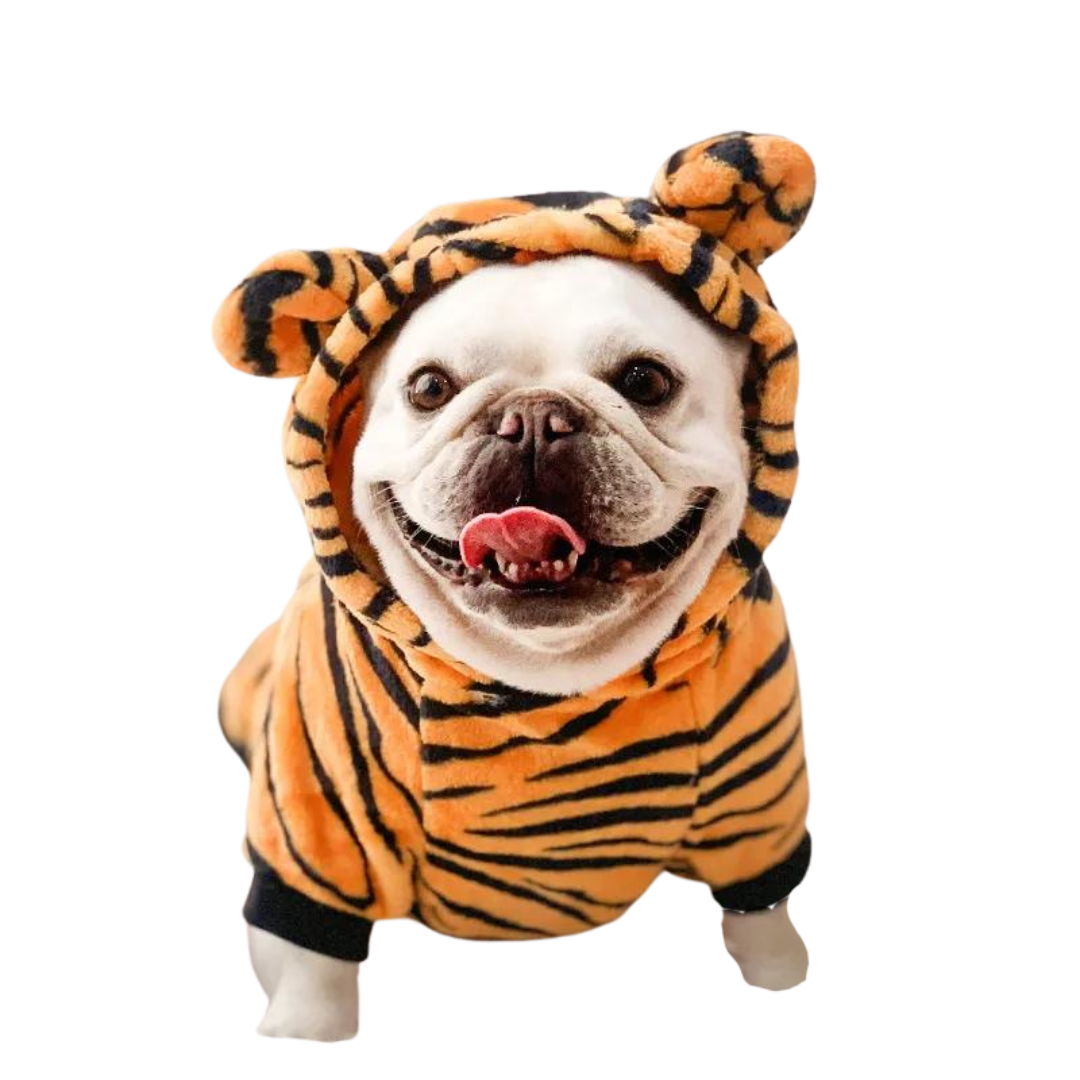 Pet Dino, Tiger & Cow Costume